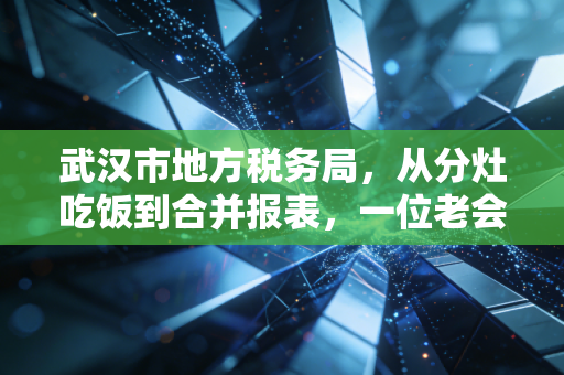 武汉市地方税务局，从分灶吃饭到合并报表，一位老会计眼中的江城税务变迁