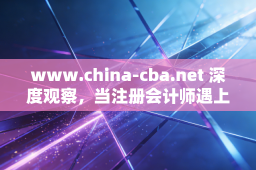 www.china-cba.net 深度观察，当注册会计师遇上银行业——一场关于信任、合规与未来的共生共舞