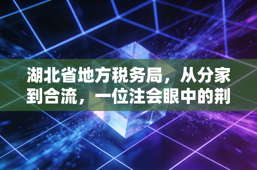 湖北省地方税务局，从分家到合流，一位注会眼中的荆楚税务变迁与民生百态