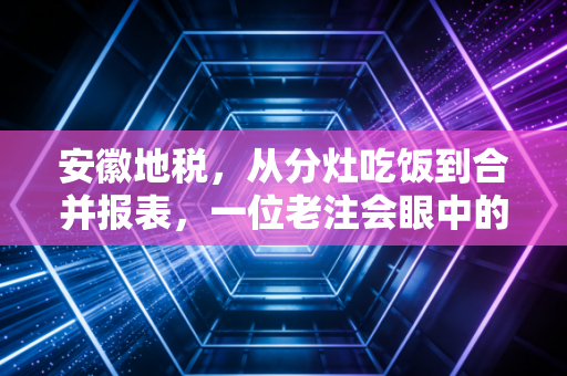 安徽地税，从分灶吃饭到合并报表，一位老注会眼中的江淮税务变迁录