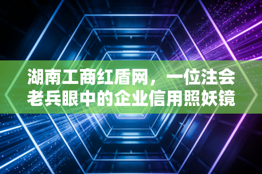 湖南工商红盾网,一位注会老兵眼中的企业信用照妖镜与避坑实战录