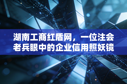 湖南工商红盾网，一位注会老兵眼中的企业信用照妖镜与避坑实战录
