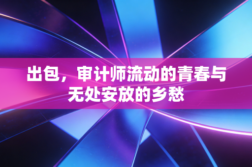出包，审计师流动的青春与无处安放的乡愁
