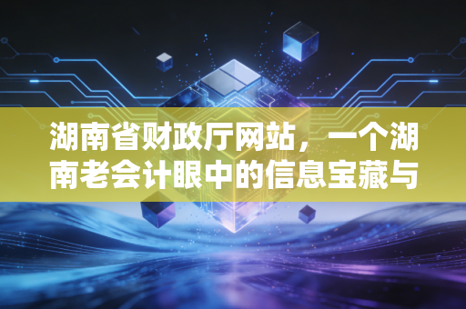湖南省财政厅网站，一个湖南老会计眼中的信息宝藏与避坑指南