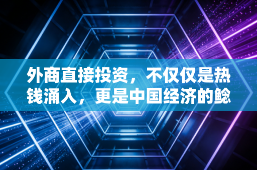 外商直接投资，不仅仅是热钱涌入，更是中国经济的鲶鱼与压舱石——一位注会眼中的变局与机遇