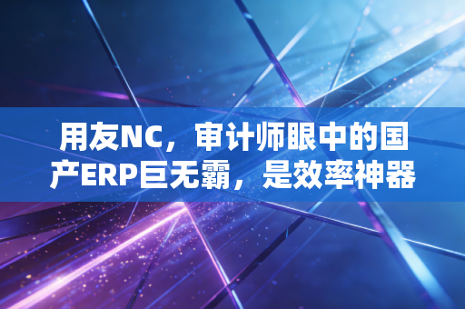 用友NC，审计师眼中的国产ERP巨无霸，是效率神器还是繁琐枷锁？