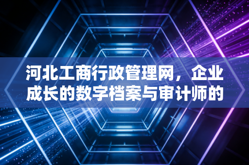 河北工商行政管理网,企业成长的数字档案与审计师的透视镜