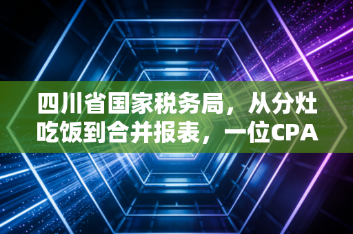 四川省国家税务局，从分灶吃饭到合并报表，一位CPA眼中的巴蜀税务变迁