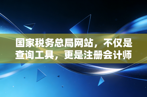国家税务总局网站,不仅是查询工具,更是注册会计师的藏宝图与避雷针