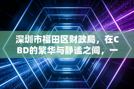 深圳市福田区财政局，在CBD的繁华与静谧之间，一名注册会计师眼中的财政生态