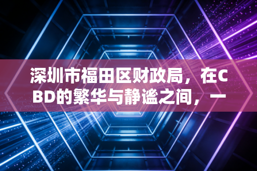 深圳市福田区财政局，在CBD的繁华与静谧之间，一名注册会计师眼中的财政生态