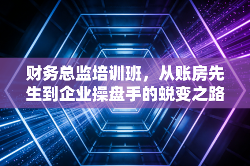 财务总监培训班，从账房先生到企业操盘手的蜕变之路
