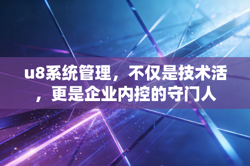u8系统管理，不仅是技术活，更是企业内控的守门人