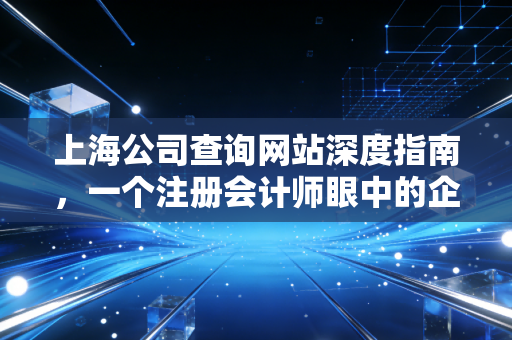 上海公司查询网站深度指南,一个注册会计师眼中的企业体检与避坑实录