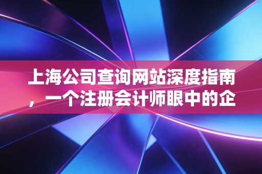 上海公司查询网站深度指南,一个注册会计师眼中的企业体检与避坑实录