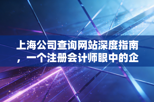 上海公司查询网站深度指南，一个注册会计师眼中的企业体检与避坑实录