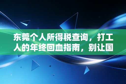 东莞个人所得税查询,打工人的年终回血指南,别让国家给你的钱睡大觉!