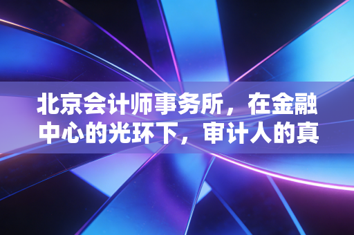 北京会计师事务所，在金融中心的光环下，审计人的真实生存图鉴与行业思考