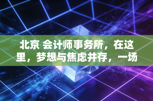 北京 会计师事务所,在这里,梦想与焦虑并存,一场关于专业与生存的博弈