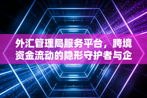 外汇管理局服务平台,跨境资金流动的隐形守护者与企业财务的数字化突围