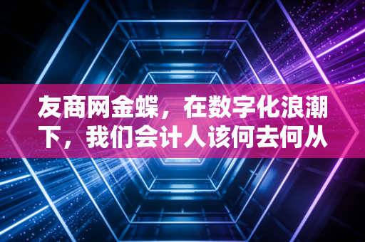 友商网金蝶,在数字化浪潮下,我们会计人该何去何从?