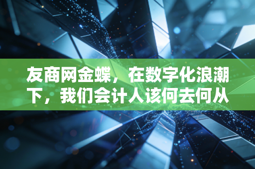 友商网金蝶，在数字化浪潮下，我们会计人该何去何从？