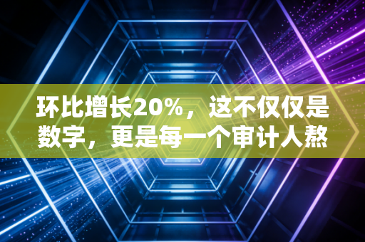 环比增长20%，这不仅仅是数字，更是每一个审计人熬夜的缩影