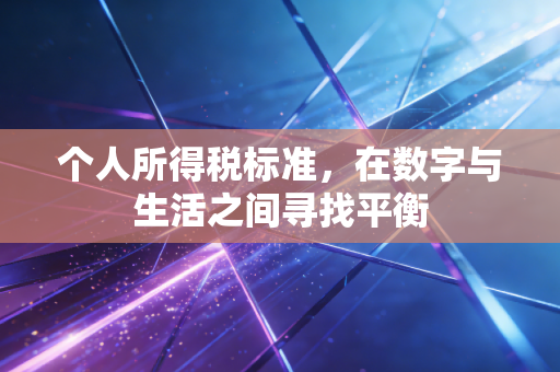 个人所得税标准，在数字与生活之间寻找平衡