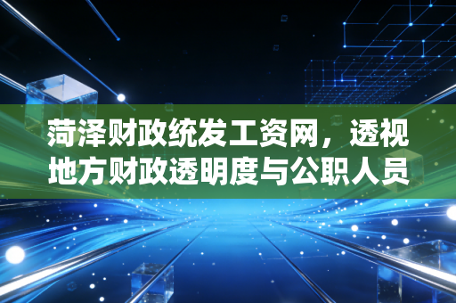 菏泽财政统发工资网，透视地方财政透明度与公职人员薪资管理的数字化变革