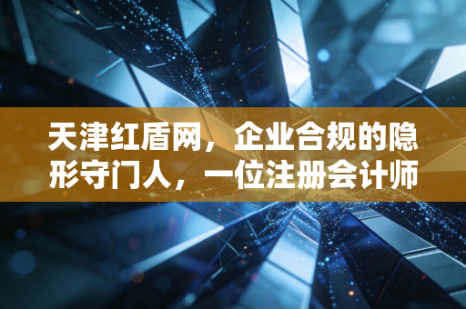 天津红盾网，企业合规的隐形守门人，一位注册会计师眼中的实战指南