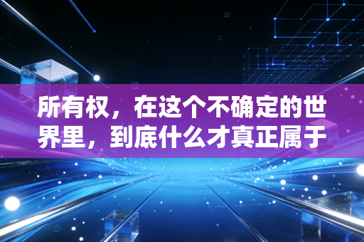 所有权，在这个不确定的世界里，到底什么才真正属于你？