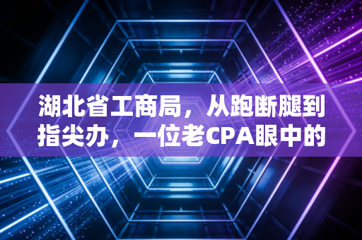 湖北省工商局，从跑断腿到指尖办，一位老CPA眼中的湖北营商环境变迁与实操避坑指南