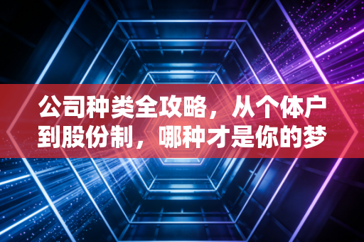 公司种类全攻略,从个体户到股份制,哪种才是你的梦中情司?