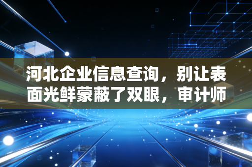 河北企业信息查询,别让表面光鲜蒙蔽了双眼,审计师教你如何看透一家公司的底牌