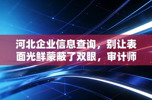 河北企业信息查询，别让表面光鲜蒙蔽了双眼，审计师教你如何看透一家公司的底牌