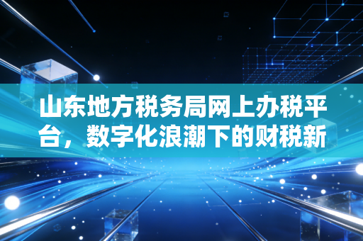 山东地方税务局网上办税平台,数字化浪潮下的财税新航海——一位注会老兵的实战手记