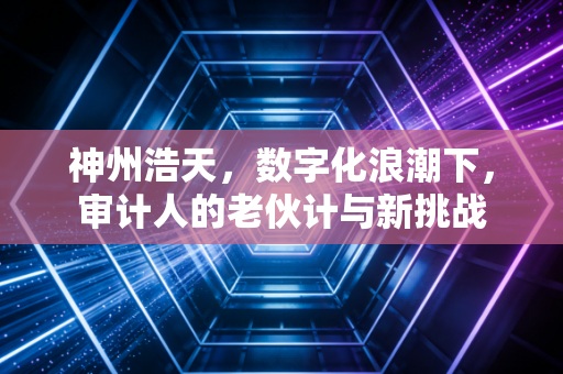 神州浩天，数字化浪潮下，审计人的老伙计与新挑战