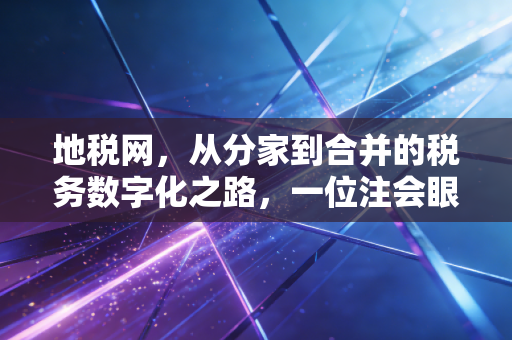 地税网,从分家到合并的税务数字化之路,一位注会眼中的变迁与思考