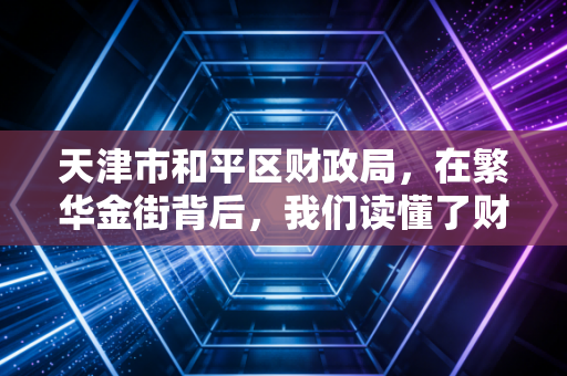 天津市和平区财政局，在繁华金街背后，我们读懂了财政温度与审计的严谨