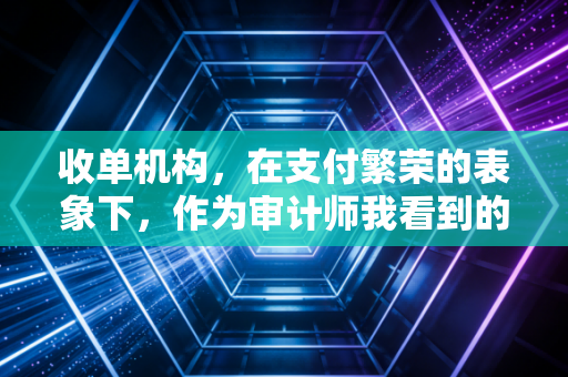 收单机构，在支付繁荣的表象下，作为审计师我看到的那些隐秘角落