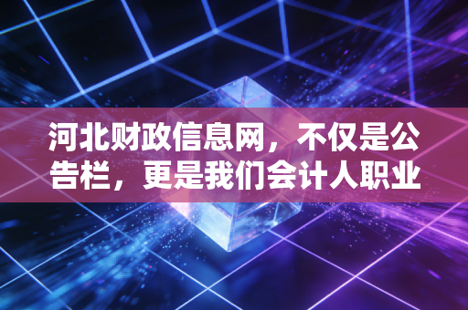 河北财政信息网，不仅是公告栏，更是我们会计人职业生涯的隐形推手