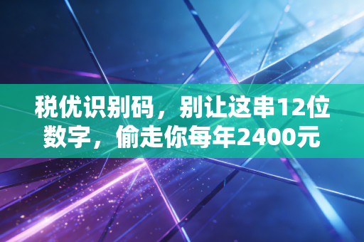 税优识别码，别让这串12位数字，偷走你每年2400元的个税红利