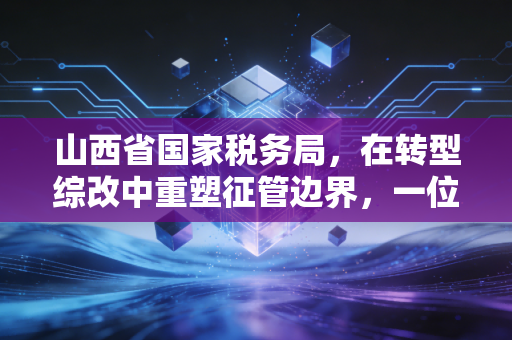 山西省国家税务局，在转型综改中重塑征管边界，一位注册会计师的深度观察
