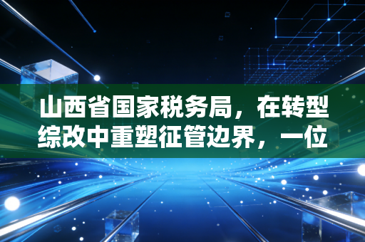 山西省国家税务局，在转型综改中重塑征管边界，一位注册会计师的深度观察
