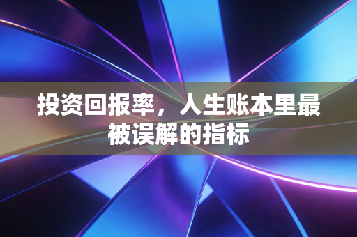 投资回报率，人生账本里最被误解的指标