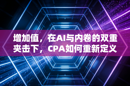 增加值,在AI与内卷的双重夹击下,CPA如何重新定义职业生命线