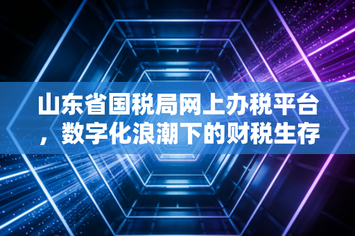 山东省国税局网上办税平台，数字化浪潮下的财税生存指南