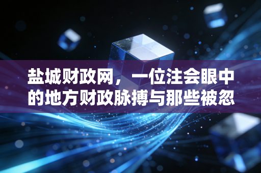 盐城财政网，一位注会眼中的地方财政脉搏与那些被忽略的宝藏信息