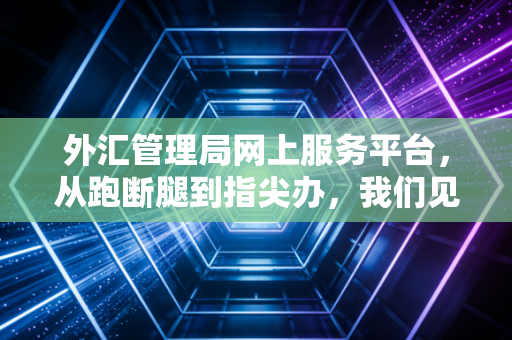 外汇管理局网上服务平台,从跑断腿到指尖办,我们见证了怎样的变革?