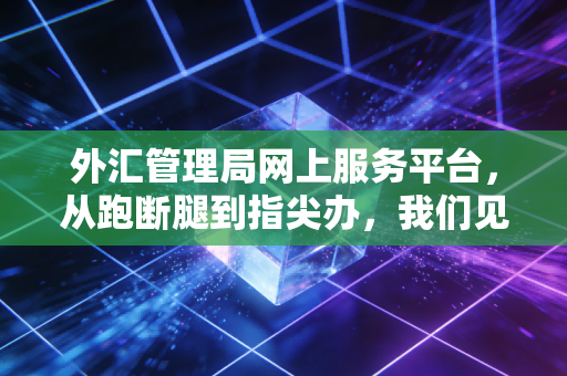 外汇管理局网上服务平台,从跑断腿到指尖办,我们见证了怎样的变革?